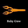 BABY CRAW （ベイビークロー）