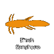 5″Sanshouo （5″サンショウウオ）