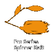 Pro Series Spinner Bait （スピナーベイト）