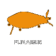 FUNA BUD （フナバド）