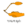 YABAI SPIN （ヤバイスピン）